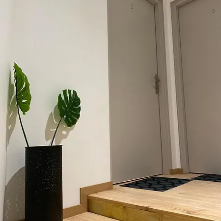 - T3 Neuf 4 Etoiles Certifie Categorie Prestige - Le Bartassec - Wifi - Parking Daire *